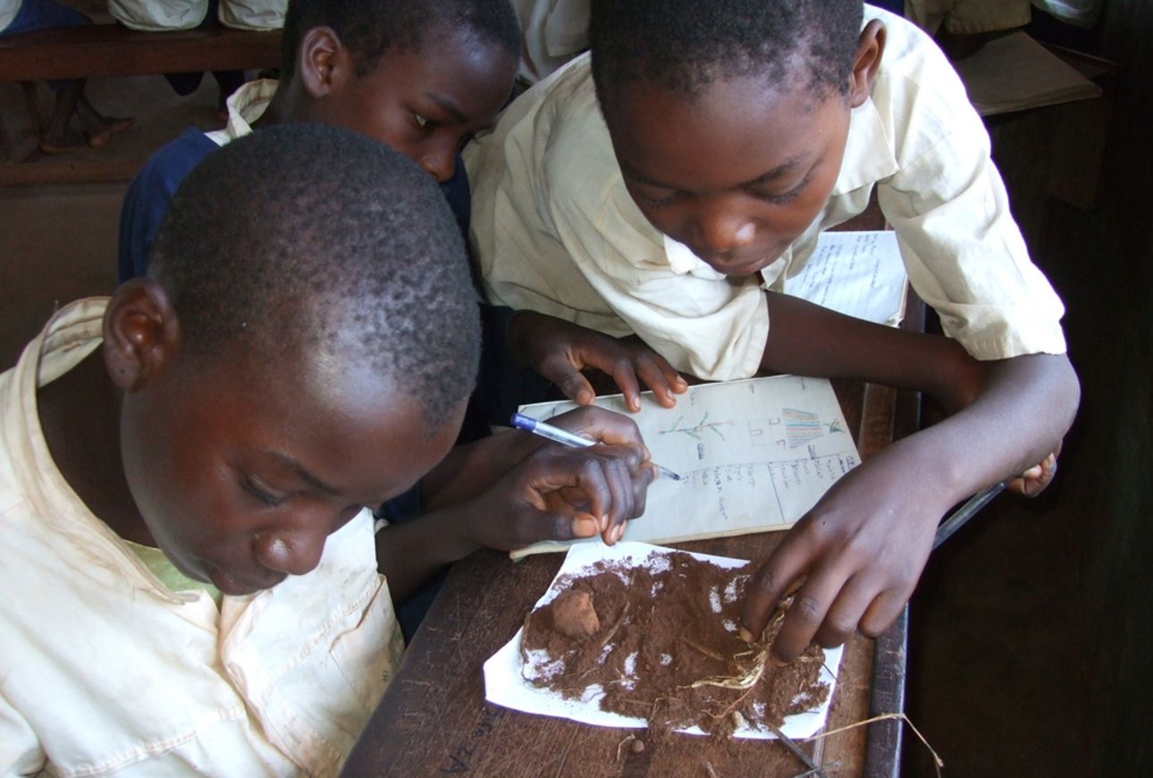Photo: Students study soil on a wooden desk.