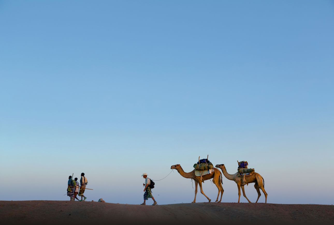 Picture of Journalist Paul Salopek, with guides, leads a pair of camels across Ethiopia's Afar desert.