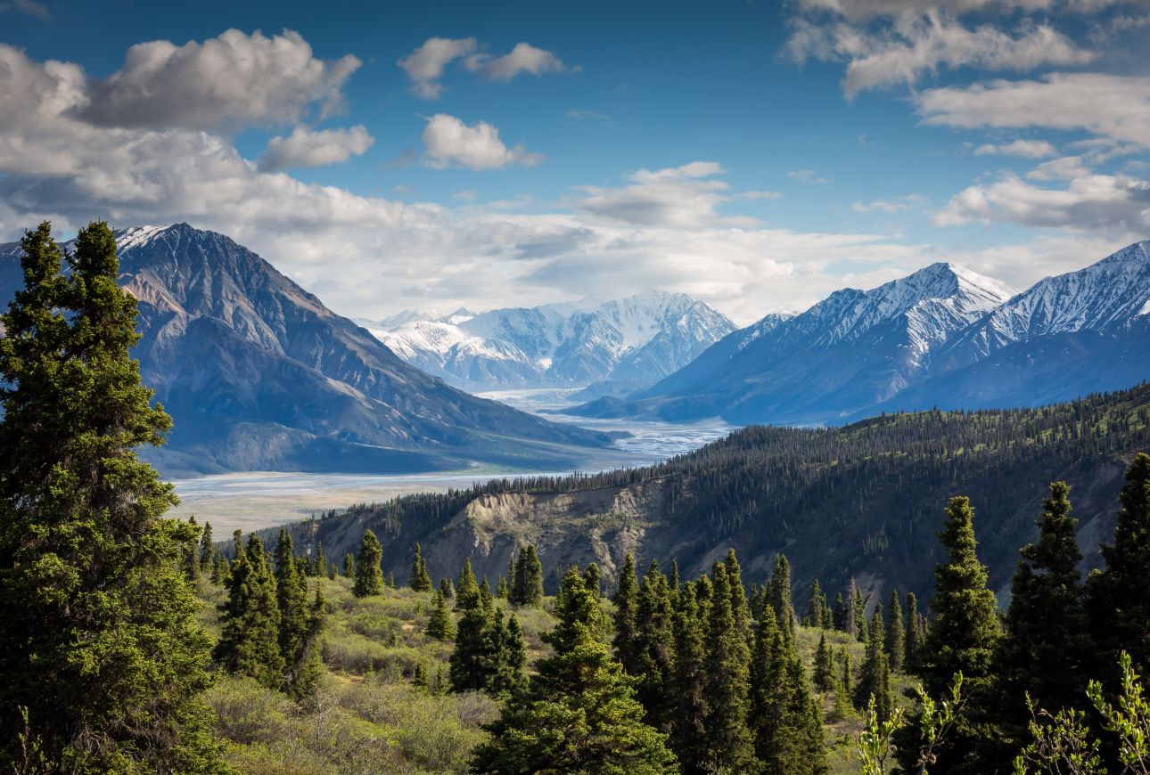 Trees rolling over the foot of mountains that grow in the distance in Kluane National Park.