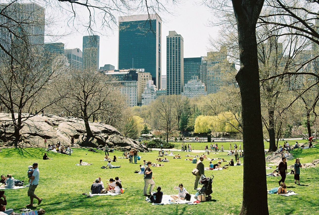 Photo: Dozens of people picnic on blankets in a large park surrounded by hi-rise buildings.