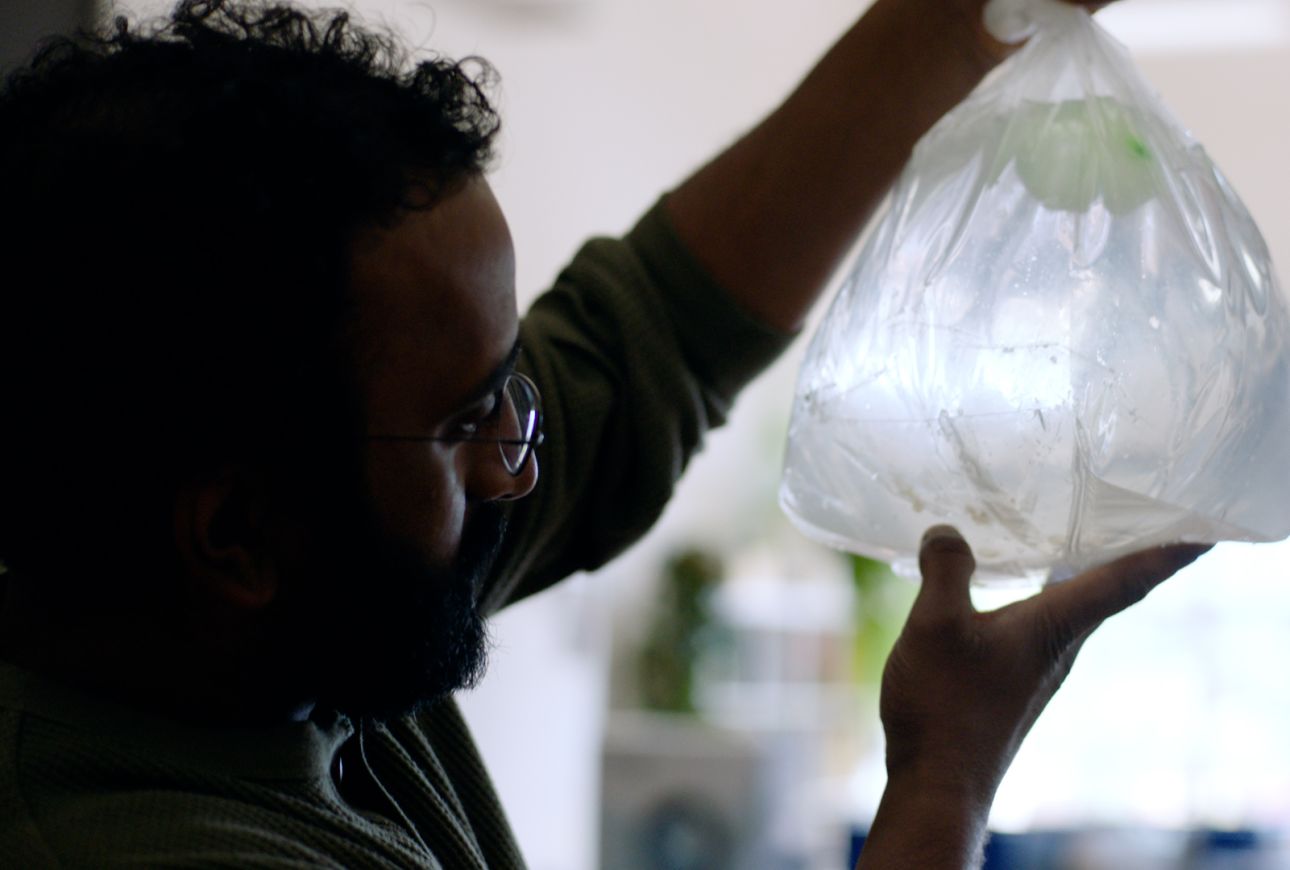 Anand Varma observing cephalopod eggs