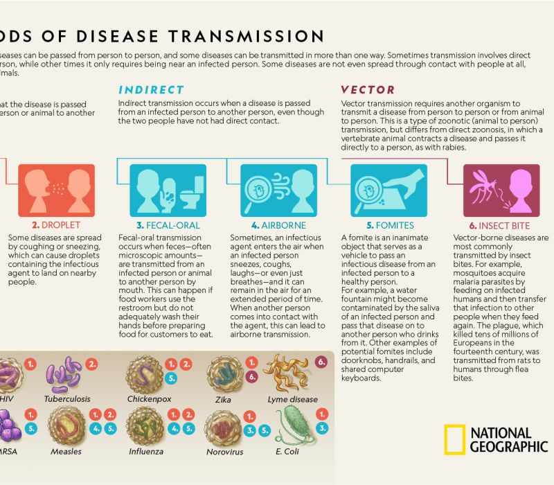 modes-of-disease-spread