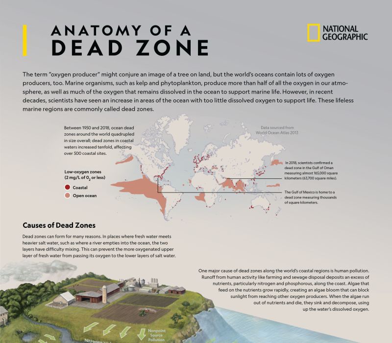 The Dead Zones, Community