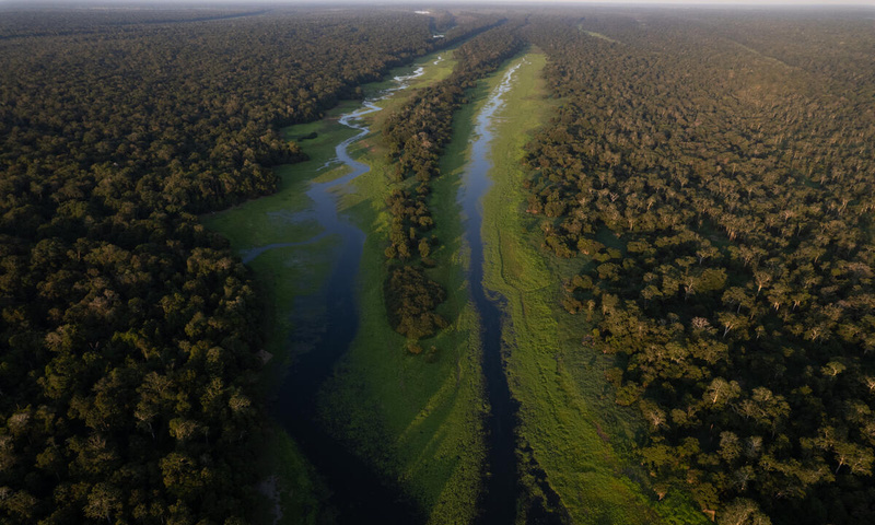Aerial view of a river surrounded by trees.