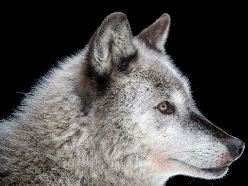 America’s stunning natural icons in pictures