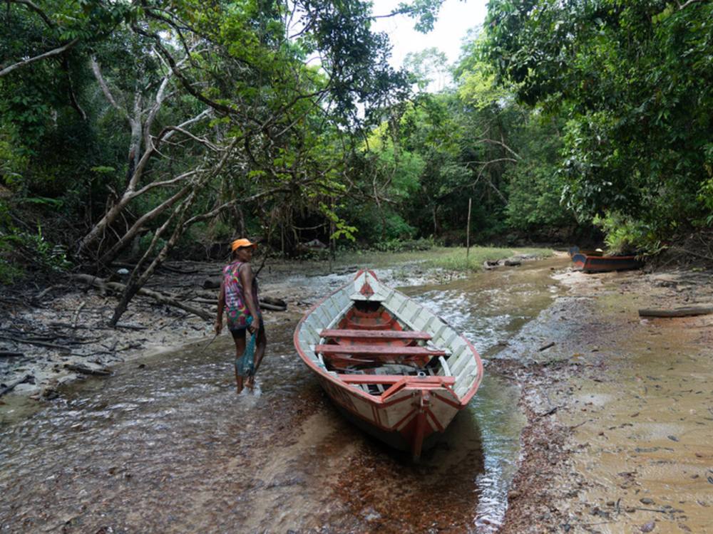 Benefits of mangroves to Amazonian coastal communities