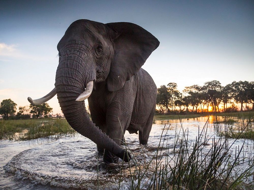 Storytelling for Impact