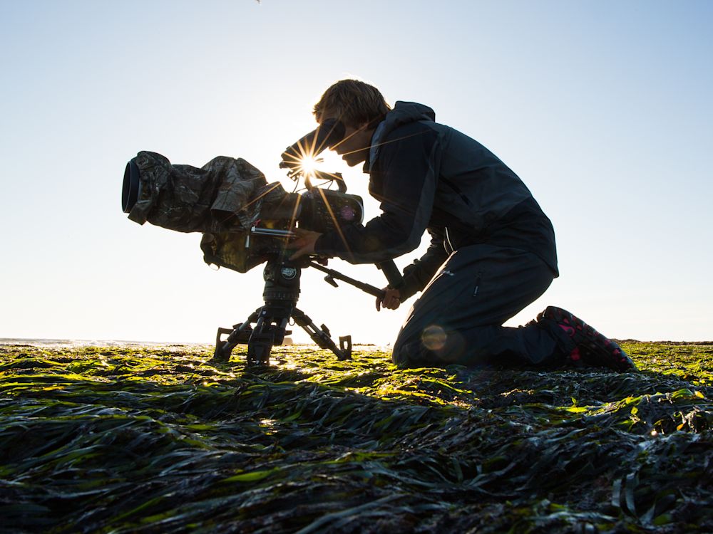 Multimedia Storytelling