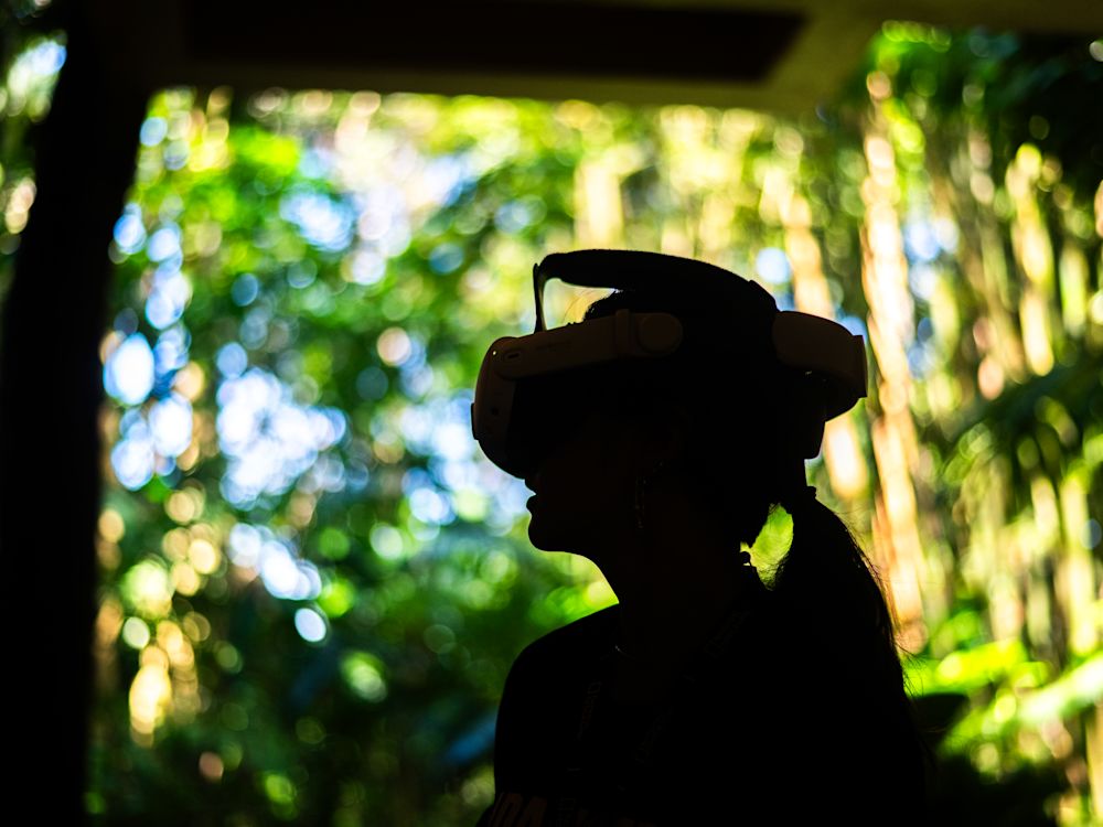 Immersive Storytelling