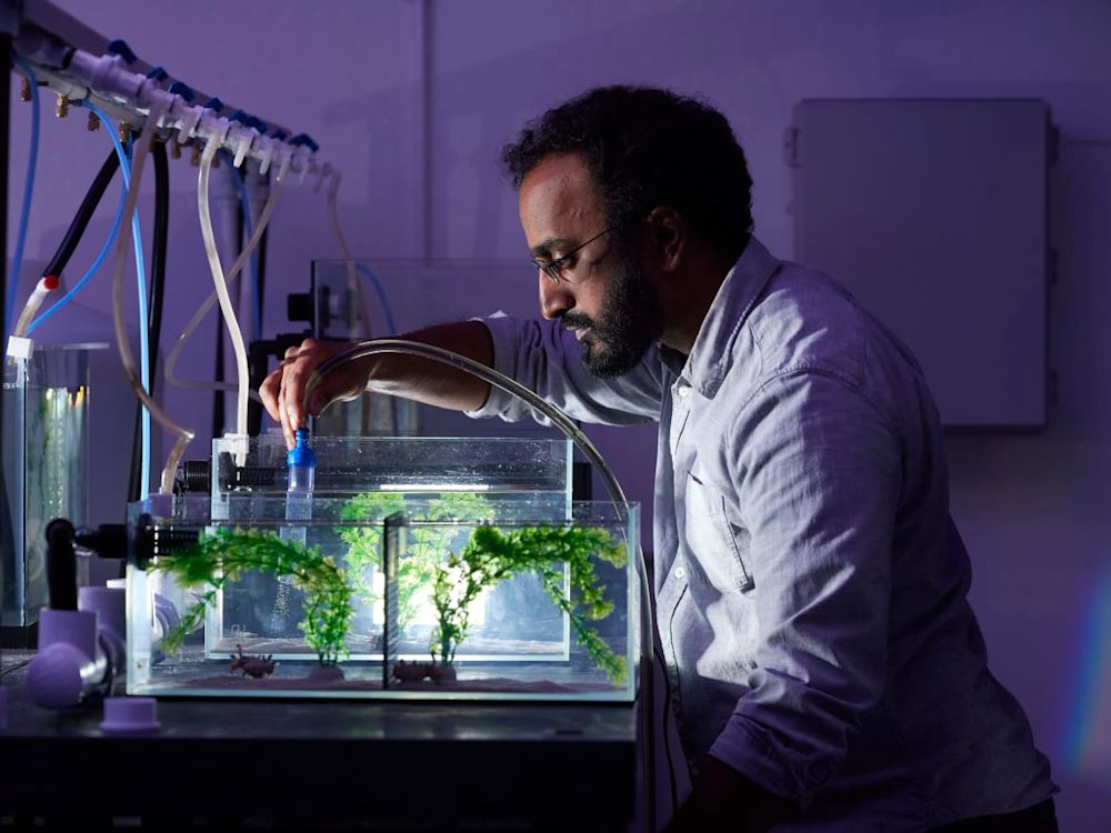 Science Storytelling