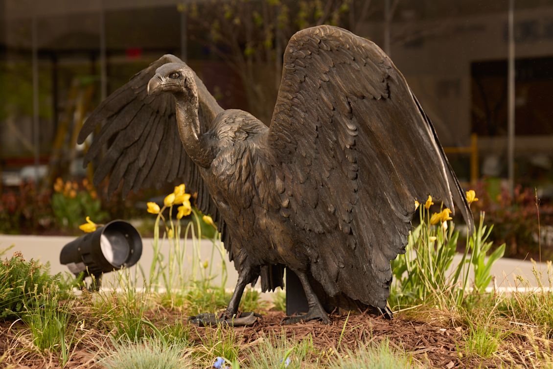 The National Geographic Museum of Exploration’s Courtyard Brings Earth’s Ecosystems to Life