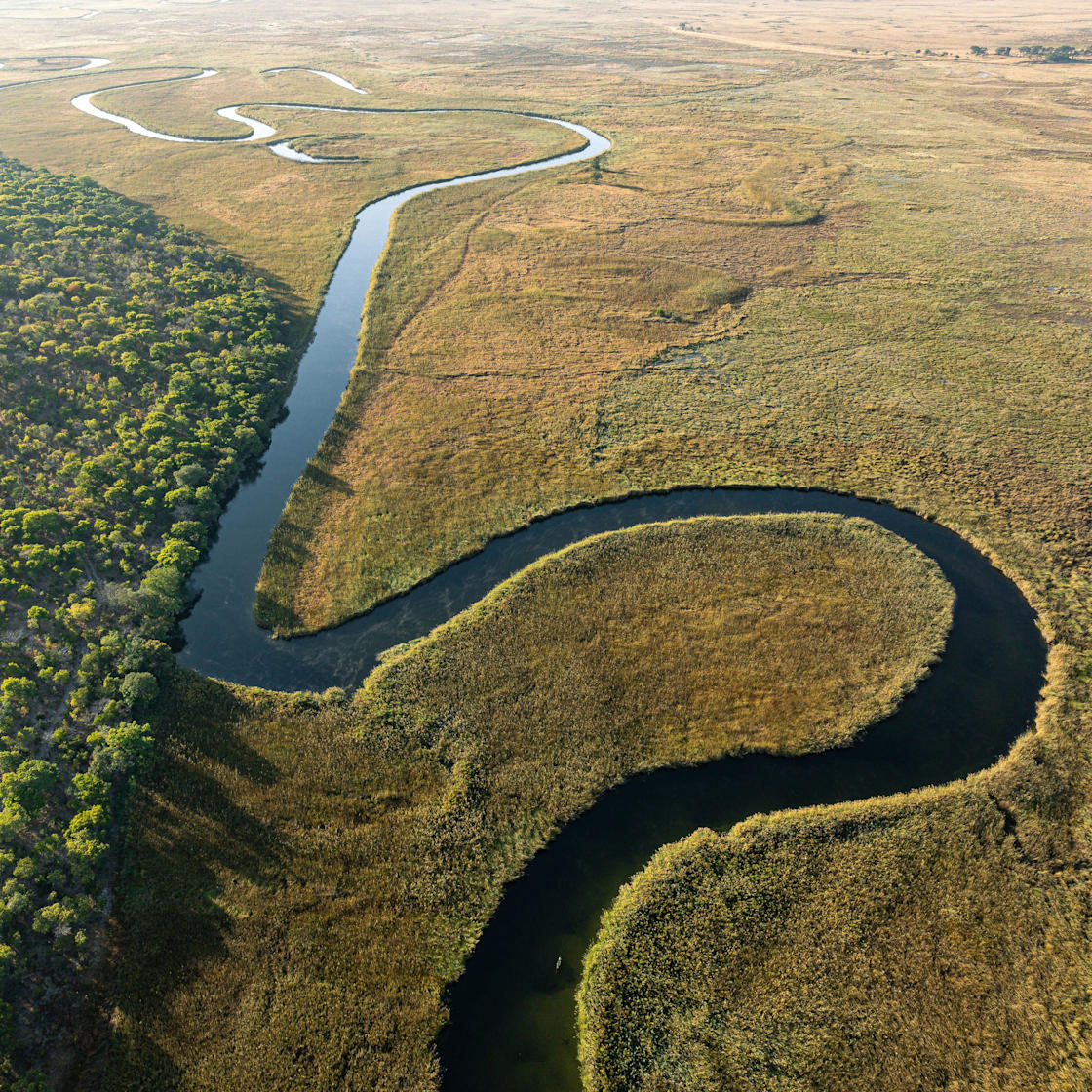 Understanding Ecosystem Dynamics and the Ecology of the Okavango River Basin