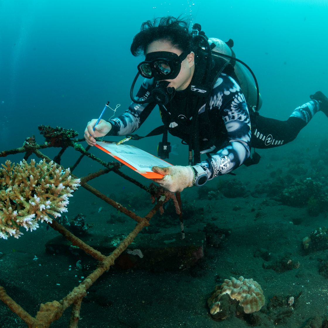 Explore Our Storytelling Essentials