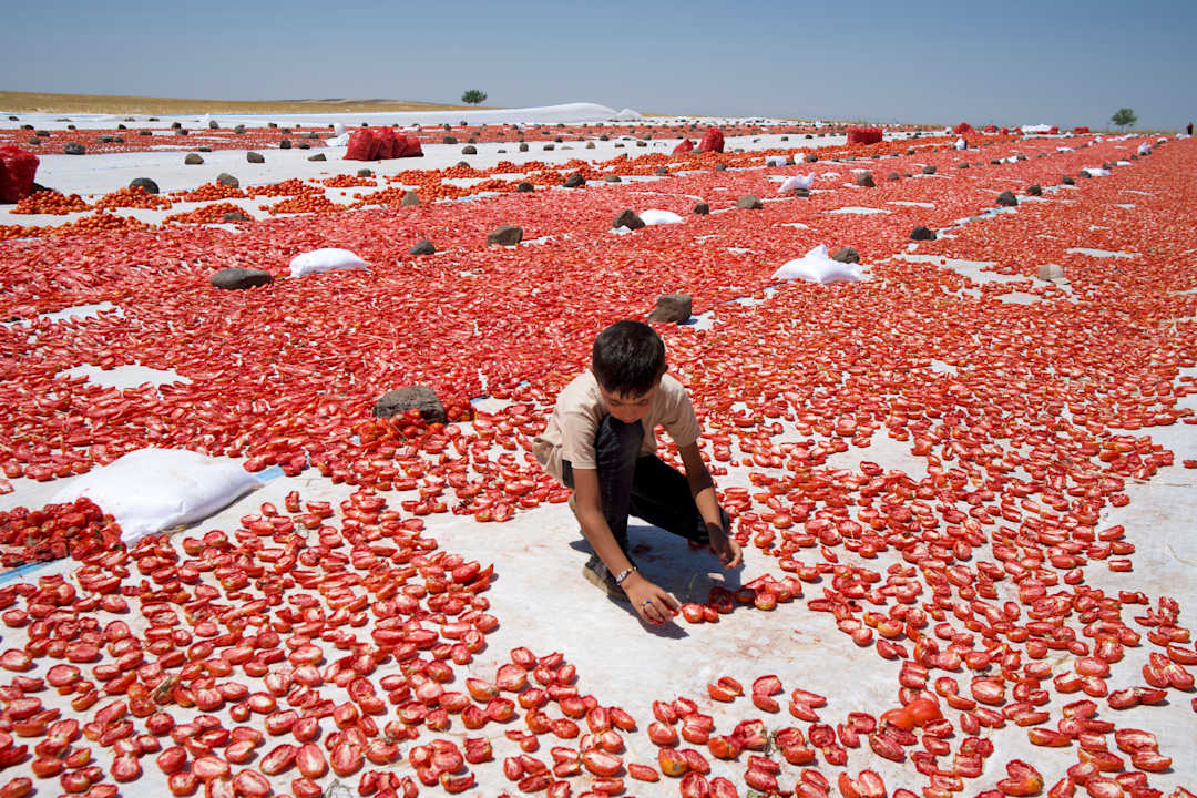 A Kurdish Photographer Records the Brutal Transformation of the Rivers ...