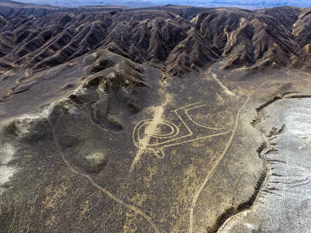 PETROGLYPHS OF CENTRAL ASIA （中央アジアの岩絵） PETROGLYPHS OF CENTRAL ASIA （中央アジアの岩絵） 本