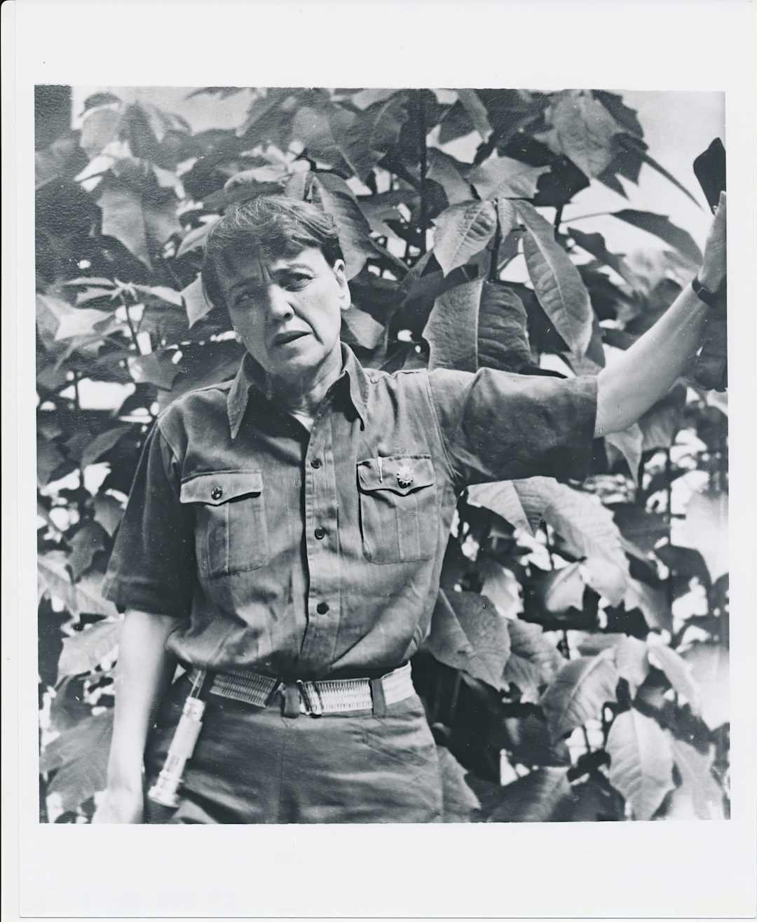 Guerra en Oriente Medio: Últimas noticias del 29 de enero de 2024 - AS.com, image size:1080x1315