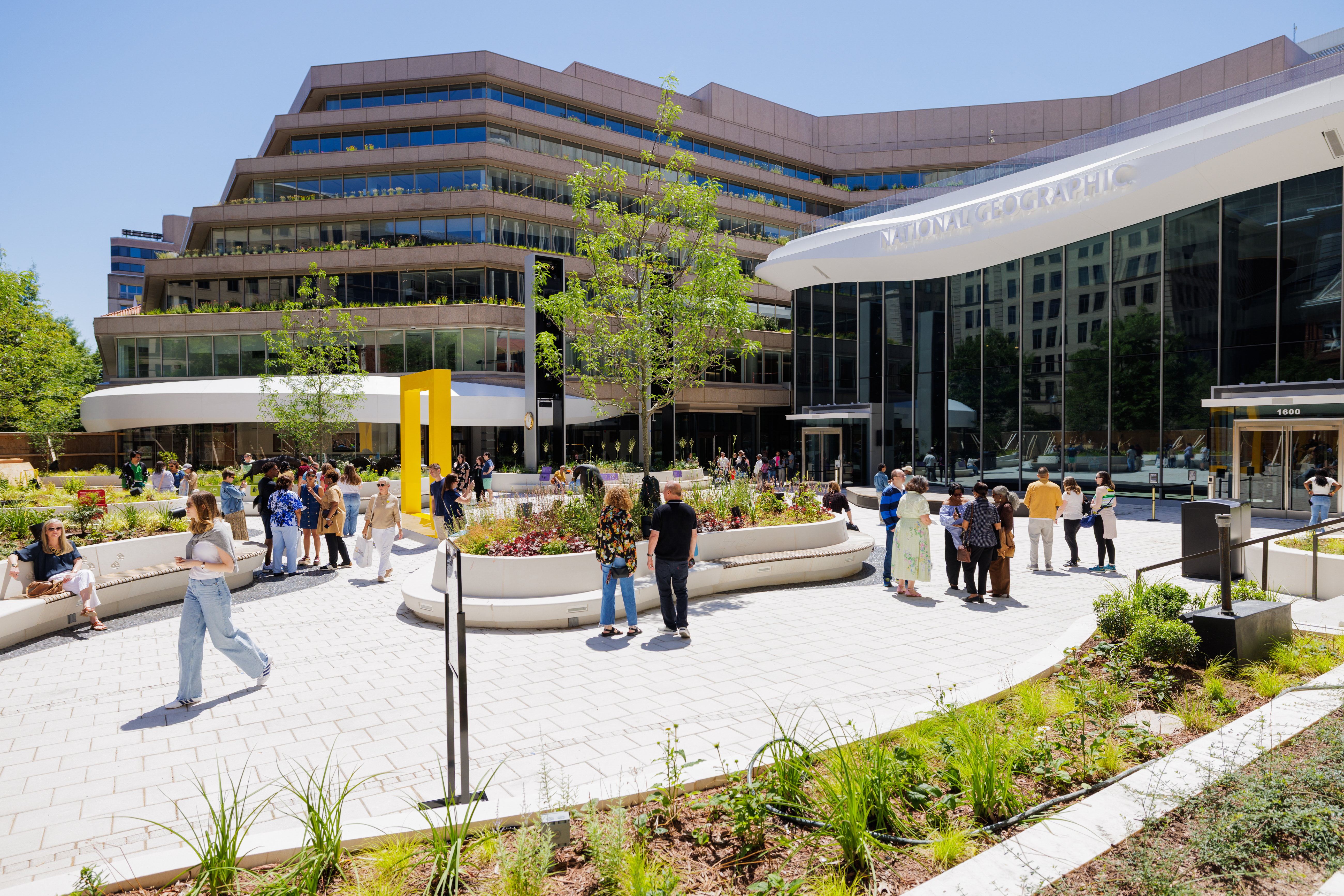 A beautifully designed courtyard with built-in planters and benches. 