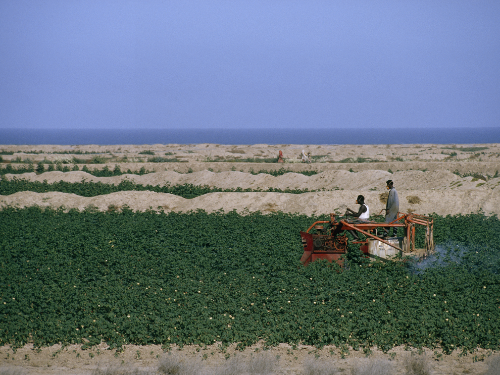 Explainer: What Is the 'Great Green Wall' of China?