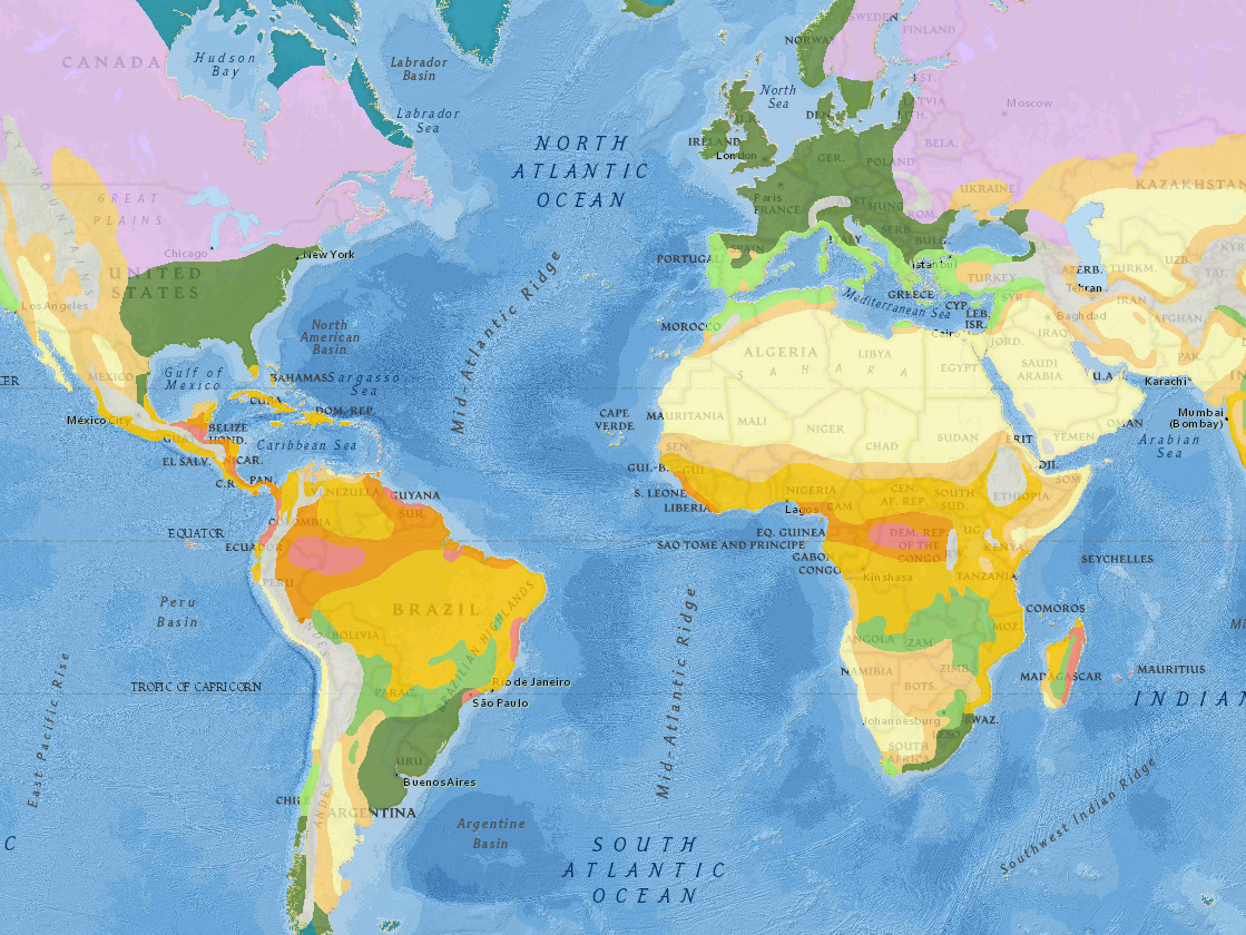 Geographic Origin National Geographic Country Of Origin