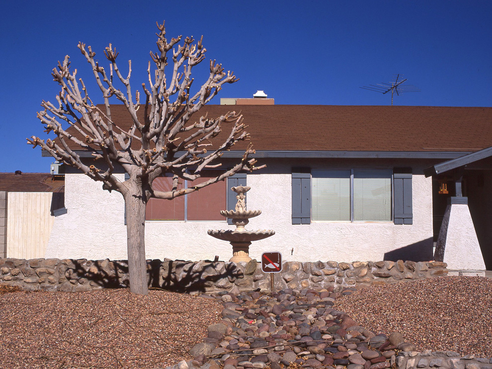 xeriscaping