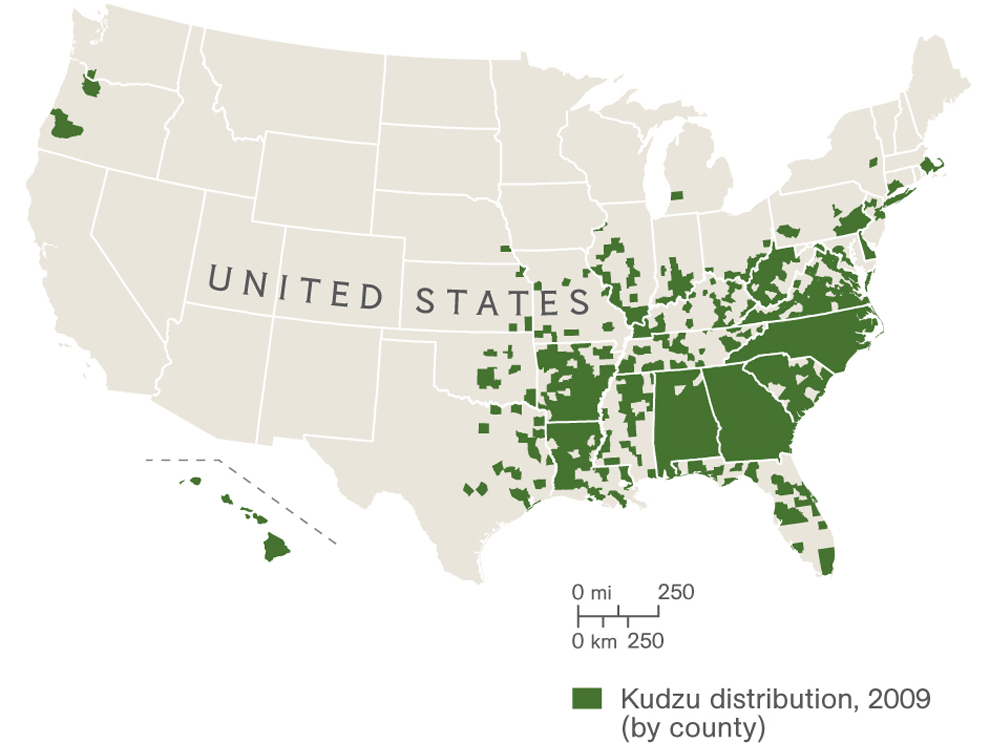 What Is Spatial Distribution In Simple Words