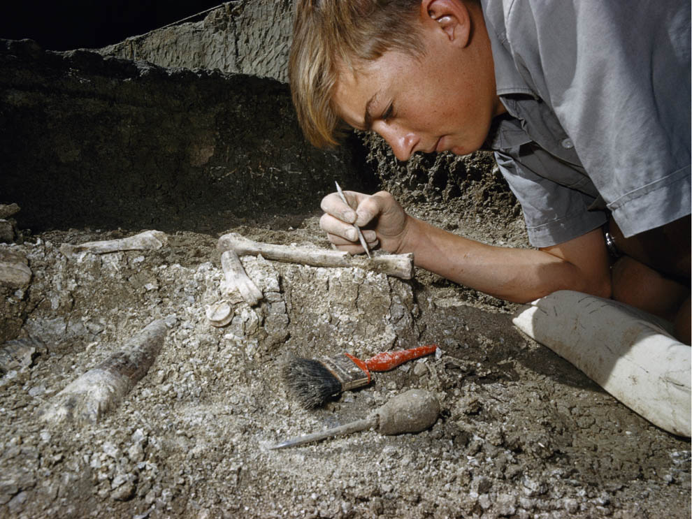 DISCOVERING FOSSILS  Fossil hunting tools and equipment