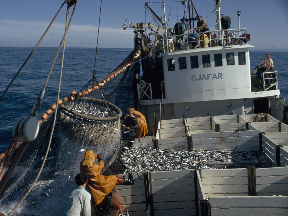 Fishing Gear Types 101: Purse Seines — Monterey Bay Fisheries Trust