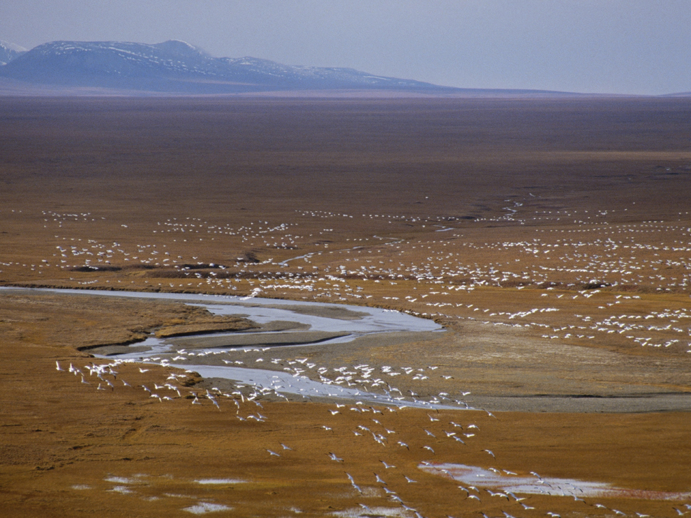 coastal plains topography