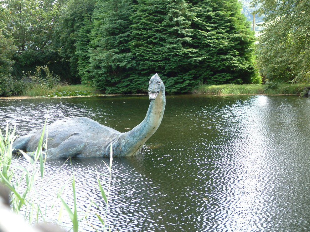 Gnide tweet Vær venlig Loch Ness Monster Sighted