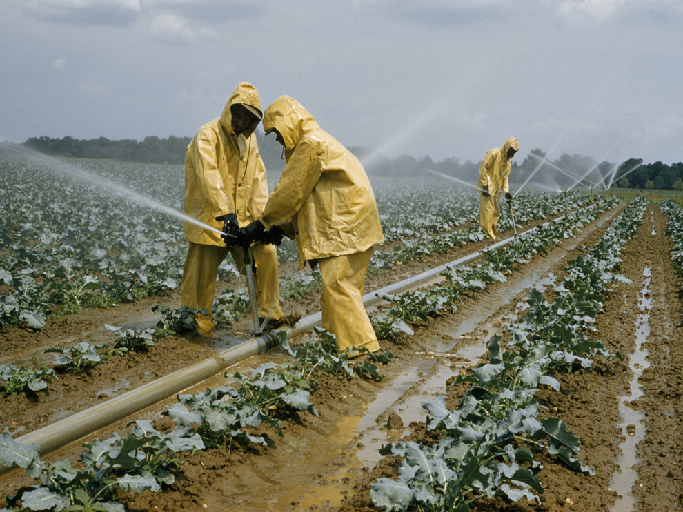 farming crops