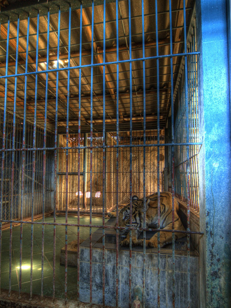 Zoo