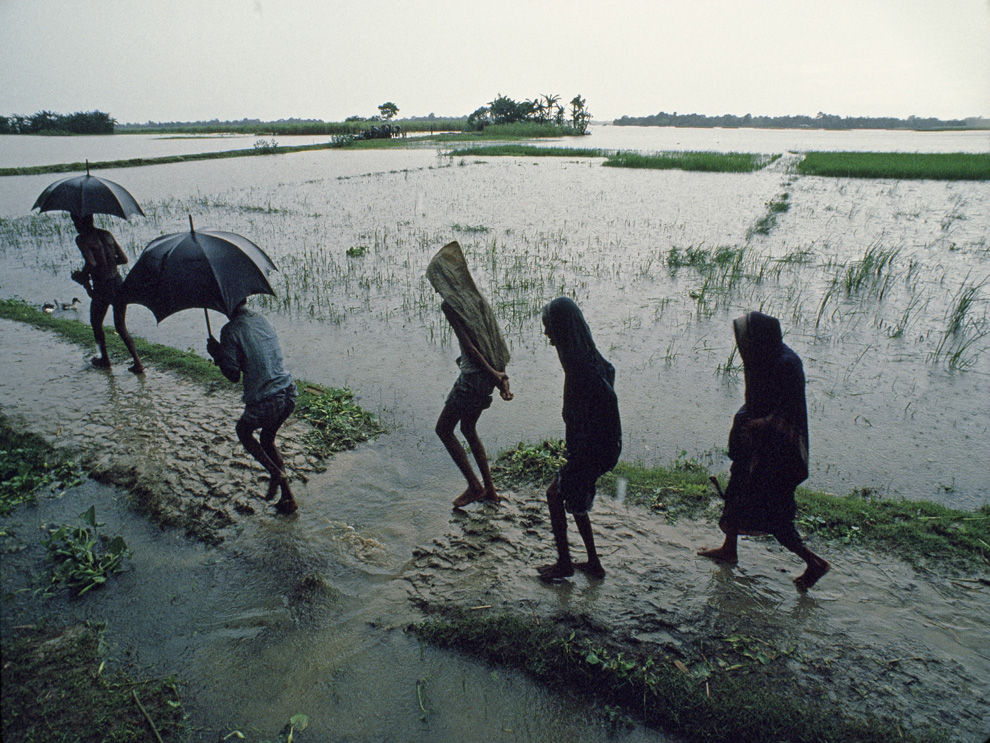 The Rainy Season