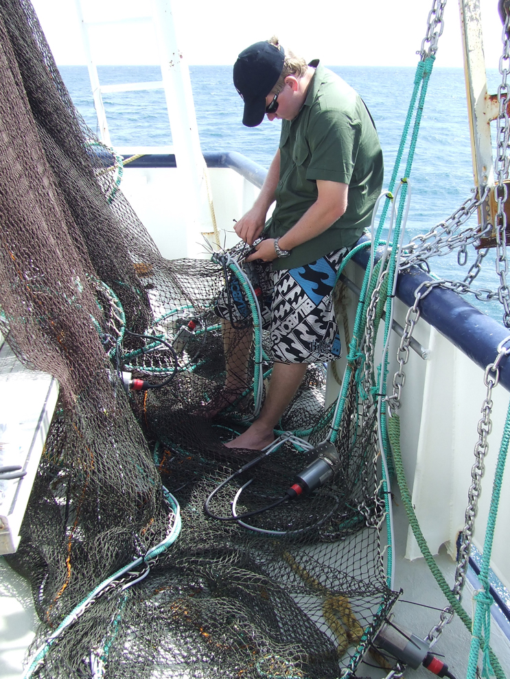 Partnership to ensure sustainable purse seine tuna fishing -Archive  -Seychelles Nation