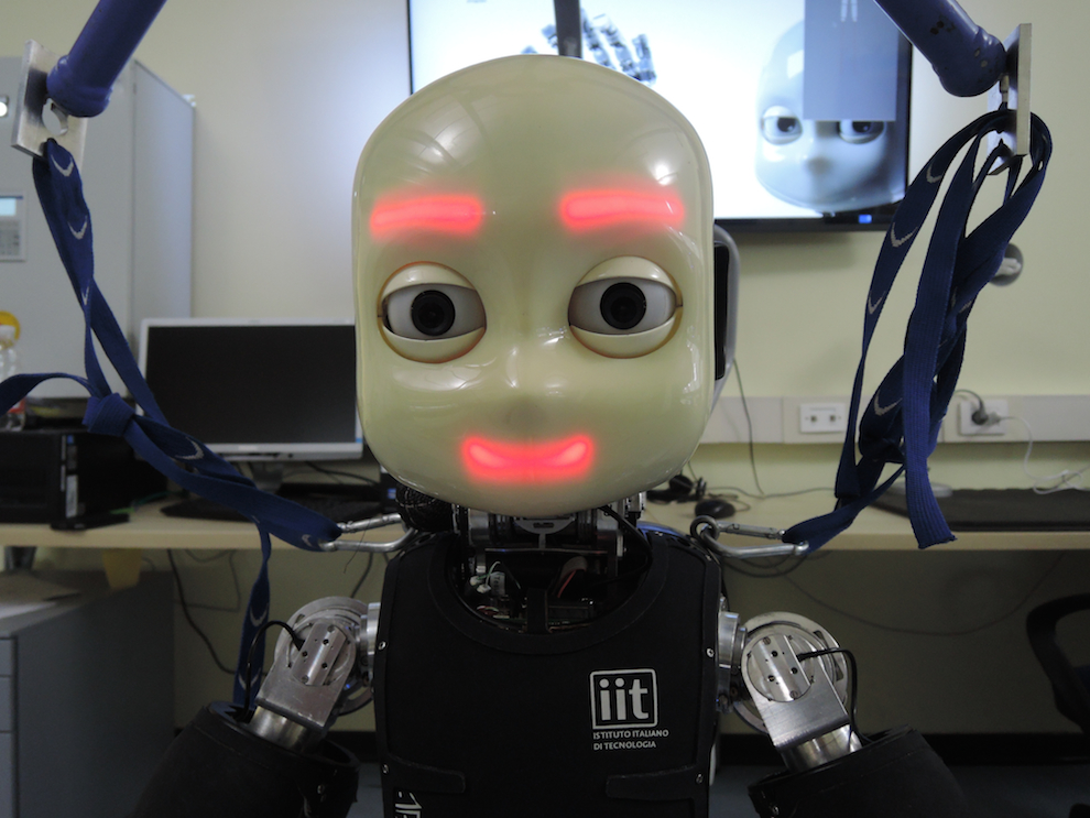 Robot: iCub