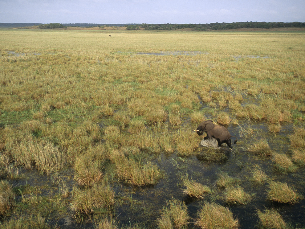 Floodplain Meaning In Geography