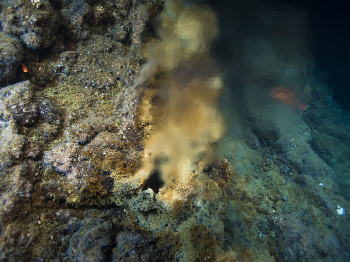 underwater volcanic vent