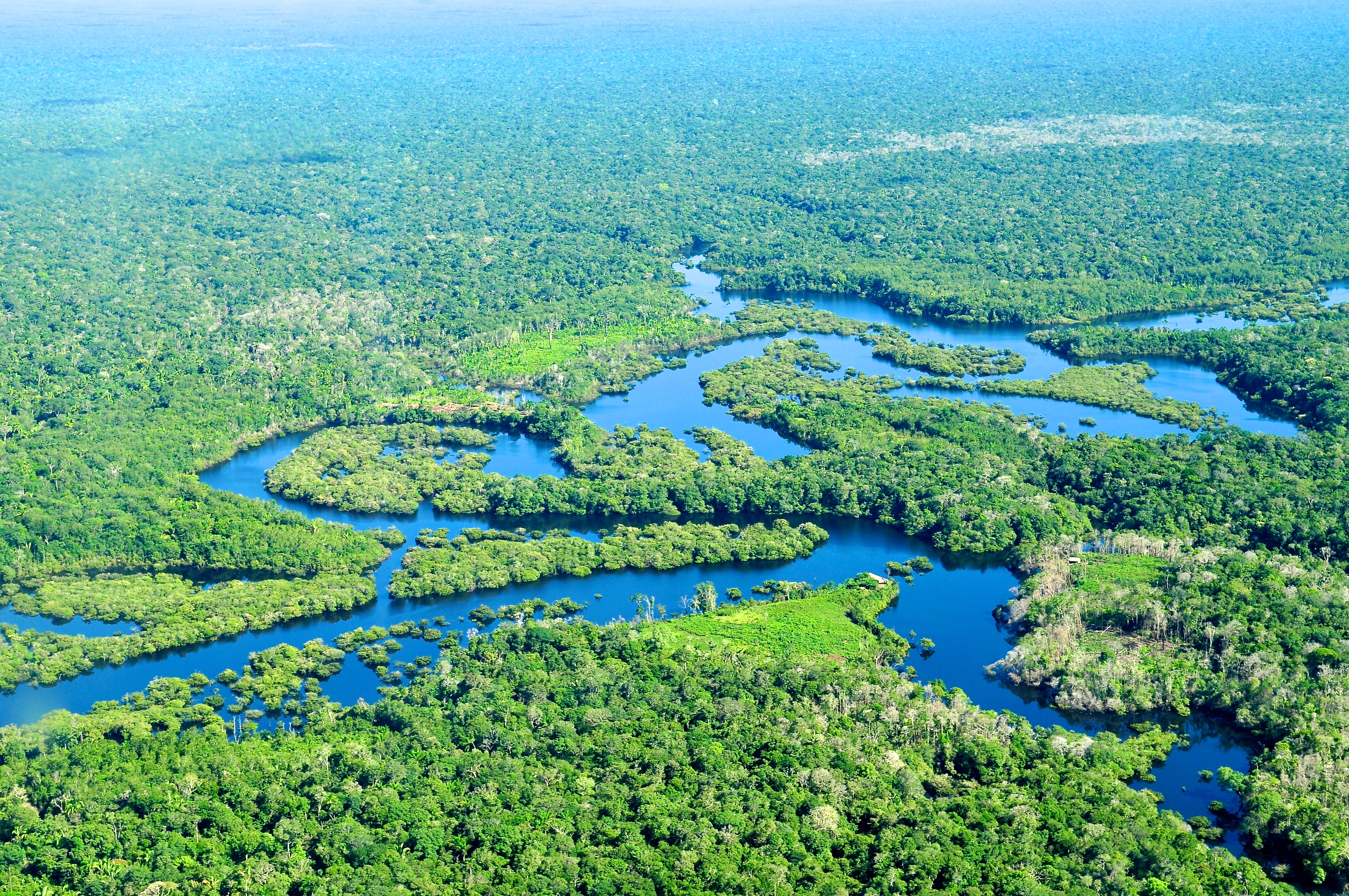 Крупные озера бразилии 7. Бразилия Амазонская низменность. Река Амазонка в Бразилии. Национальный парк Бразилия Амазонка. Южная Америка Амазонская низменность.
