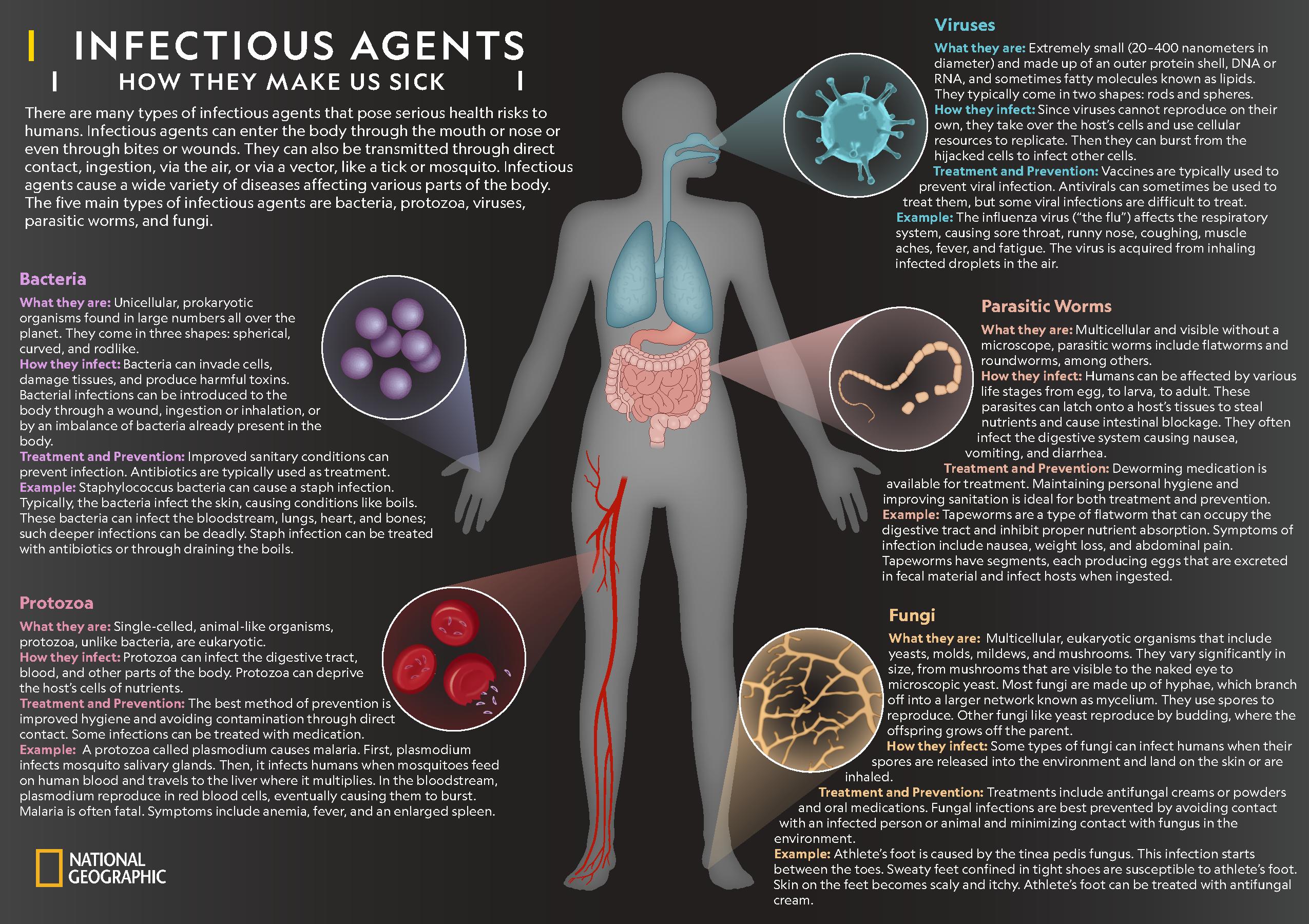 diseases caused by bacteria chart