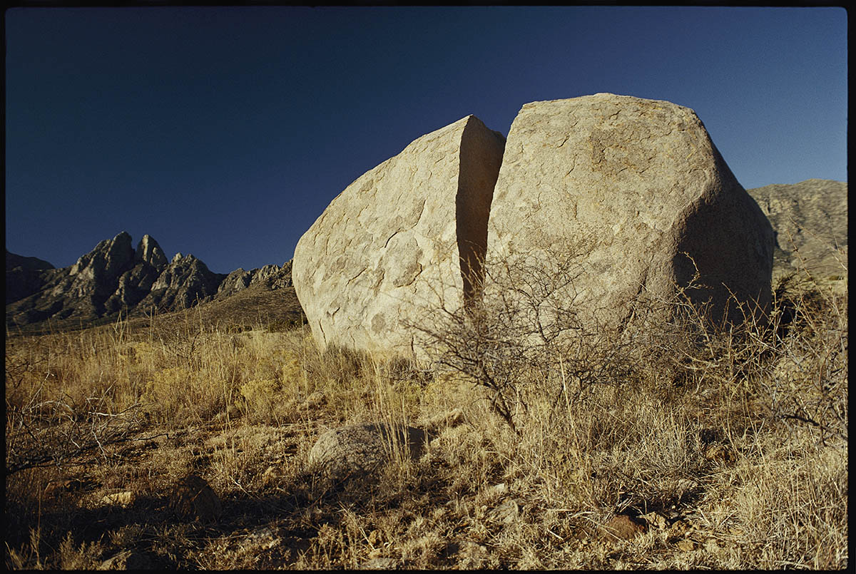 biological weathering of rocks