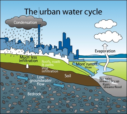 Hydrology Education: The Water Cycle