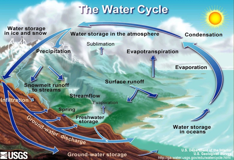 precipitation water cycle
