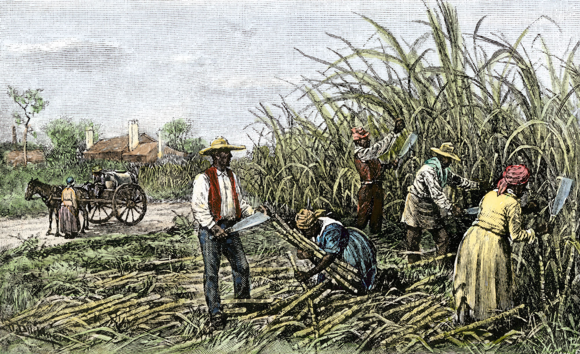 cotton-plantations-slavery