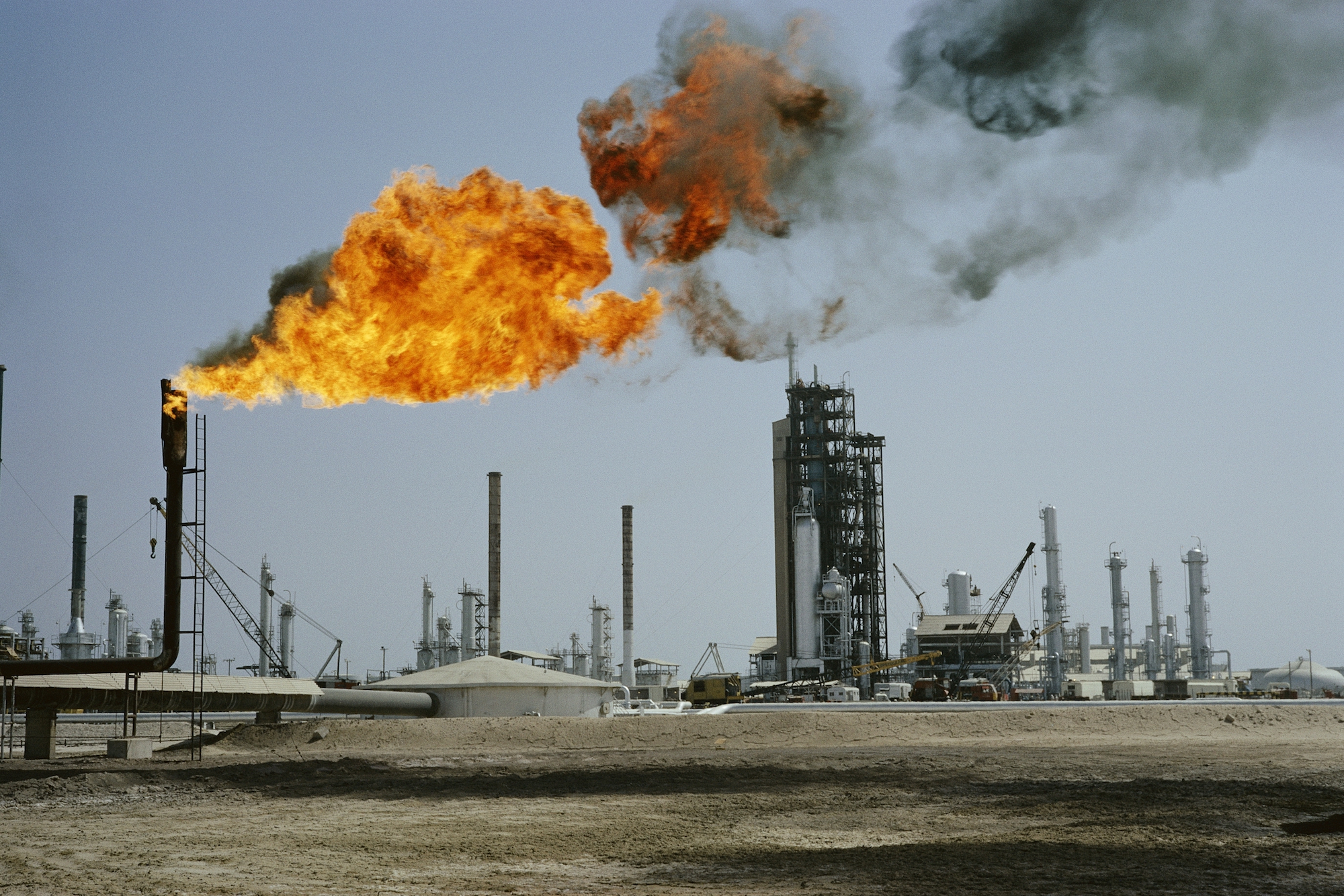 Fossil Fuels Top Sellers Emergencydentistry