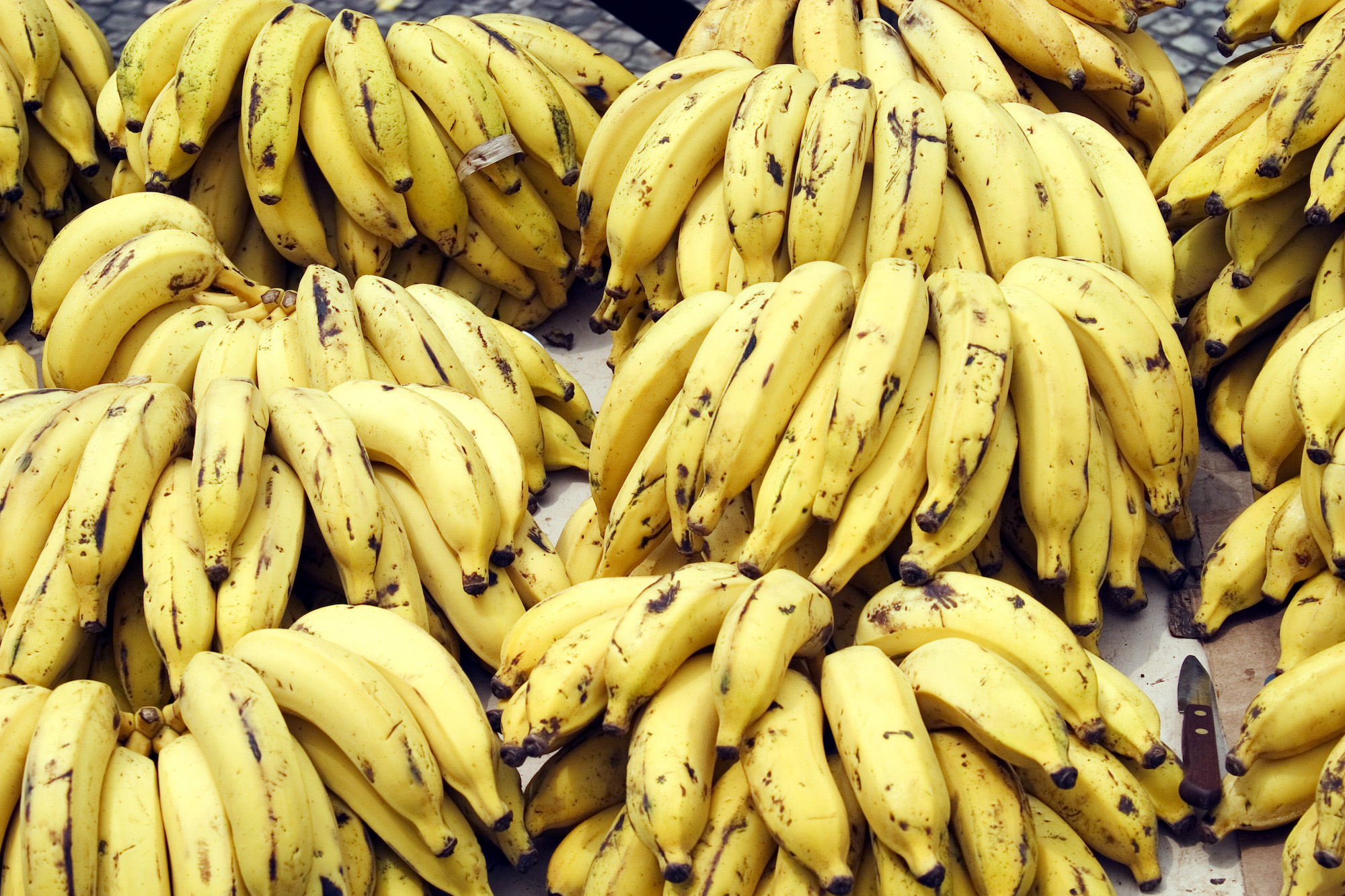 Banana bunch