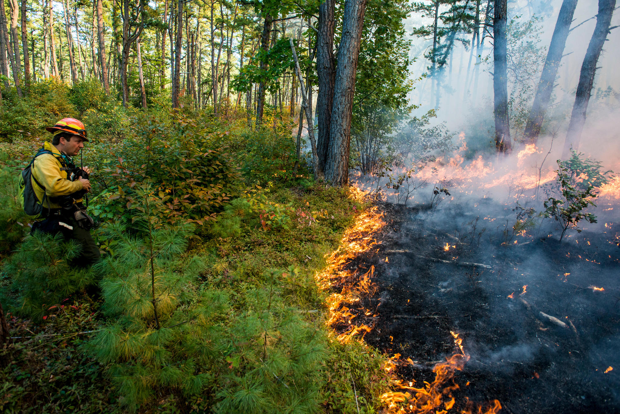 Controlled Burning