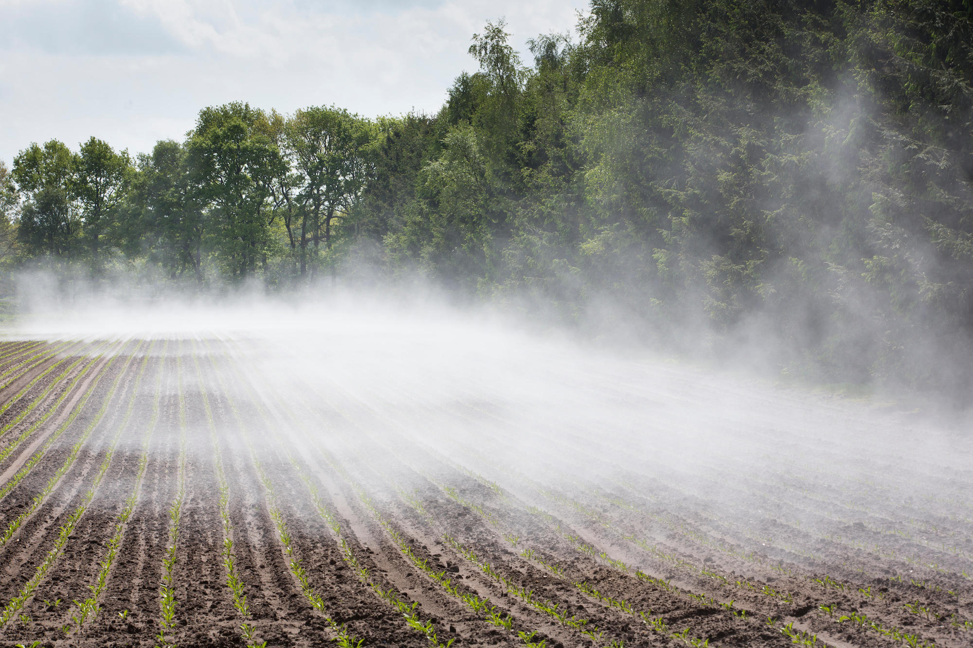 Evaporation