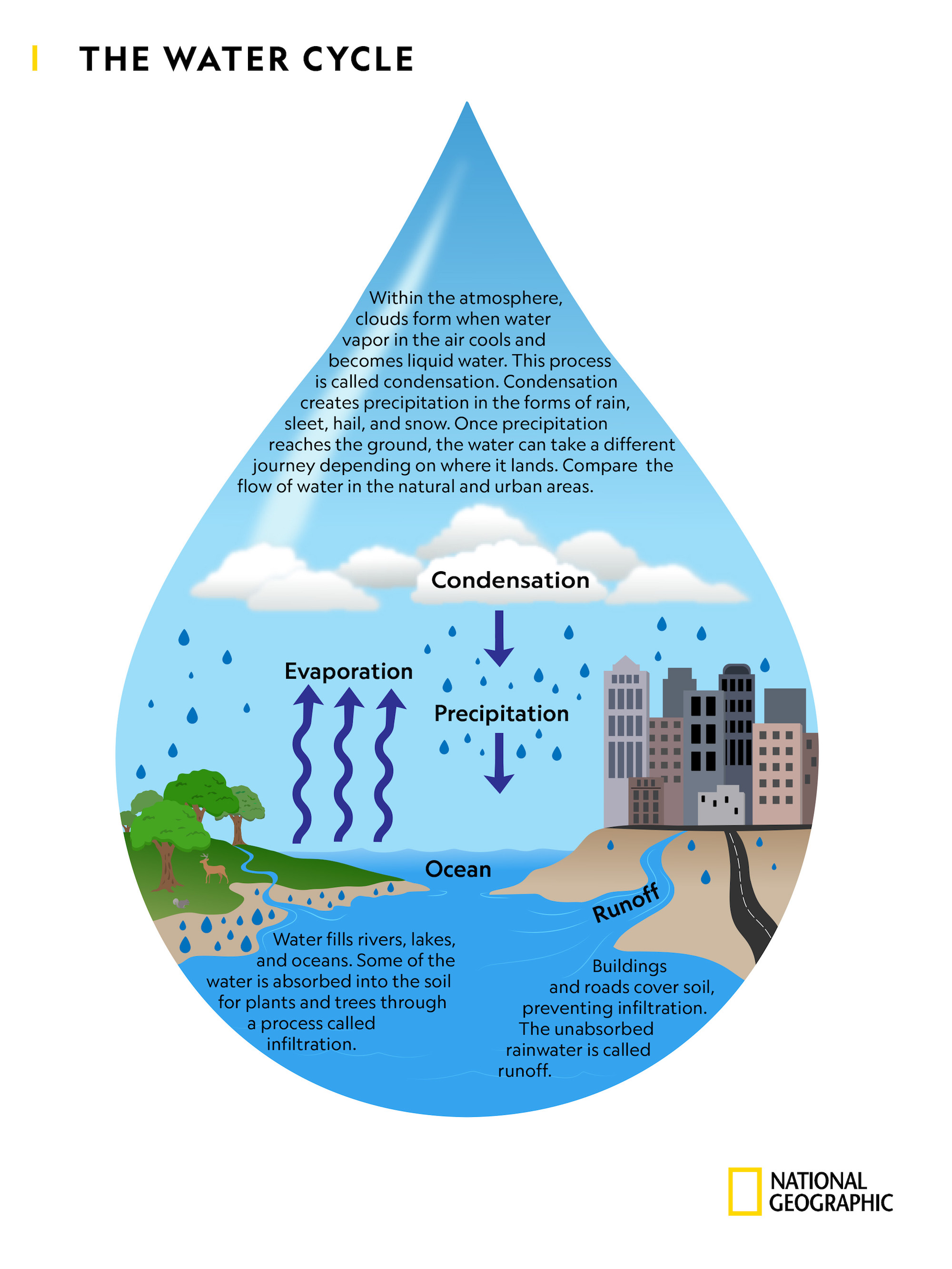 Investigating The Water Cycle