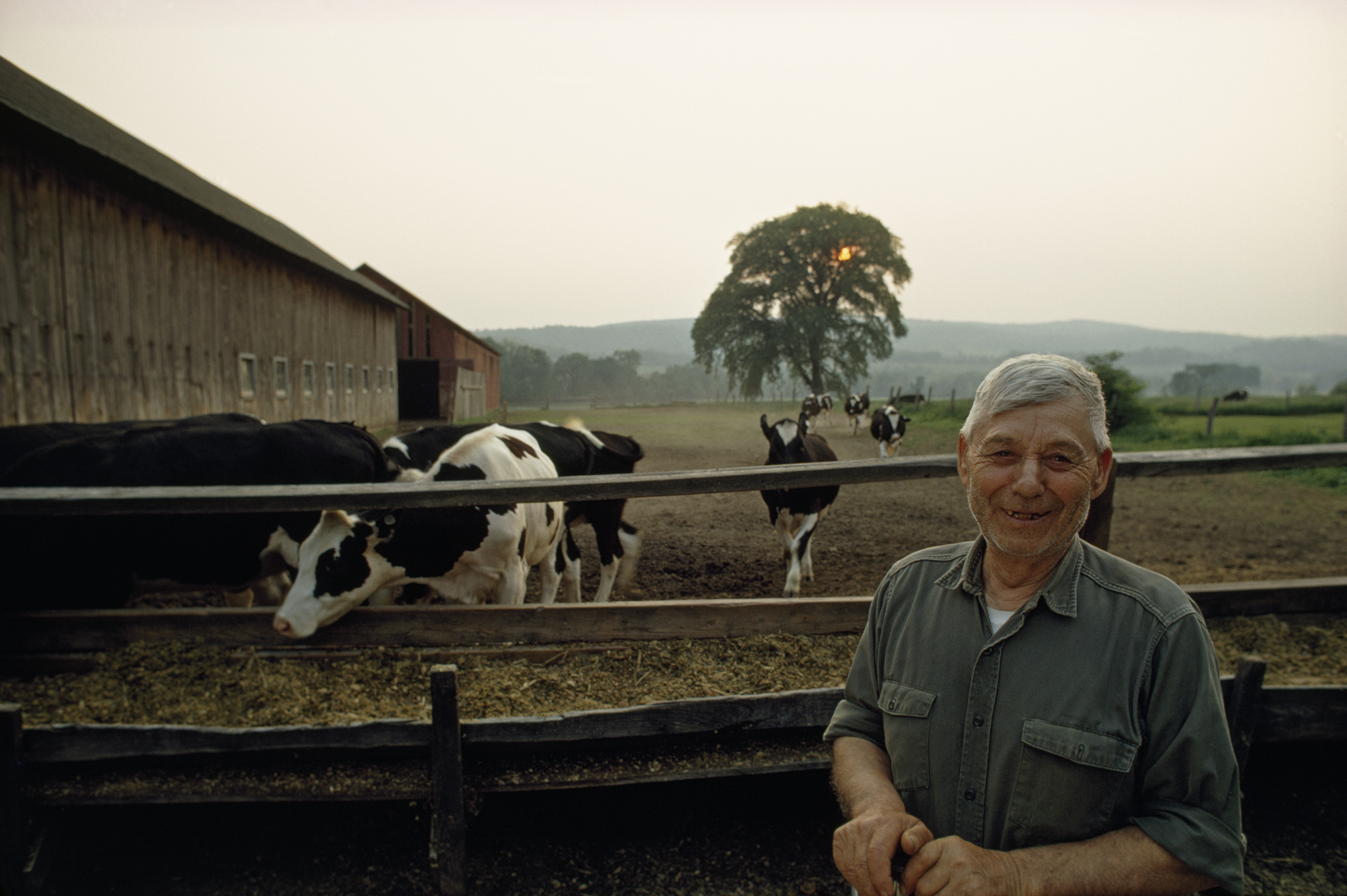 The Development of Agriculture