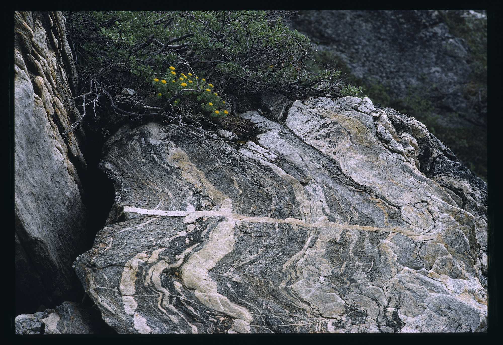 sedimentary igneous and metamorphic rocks