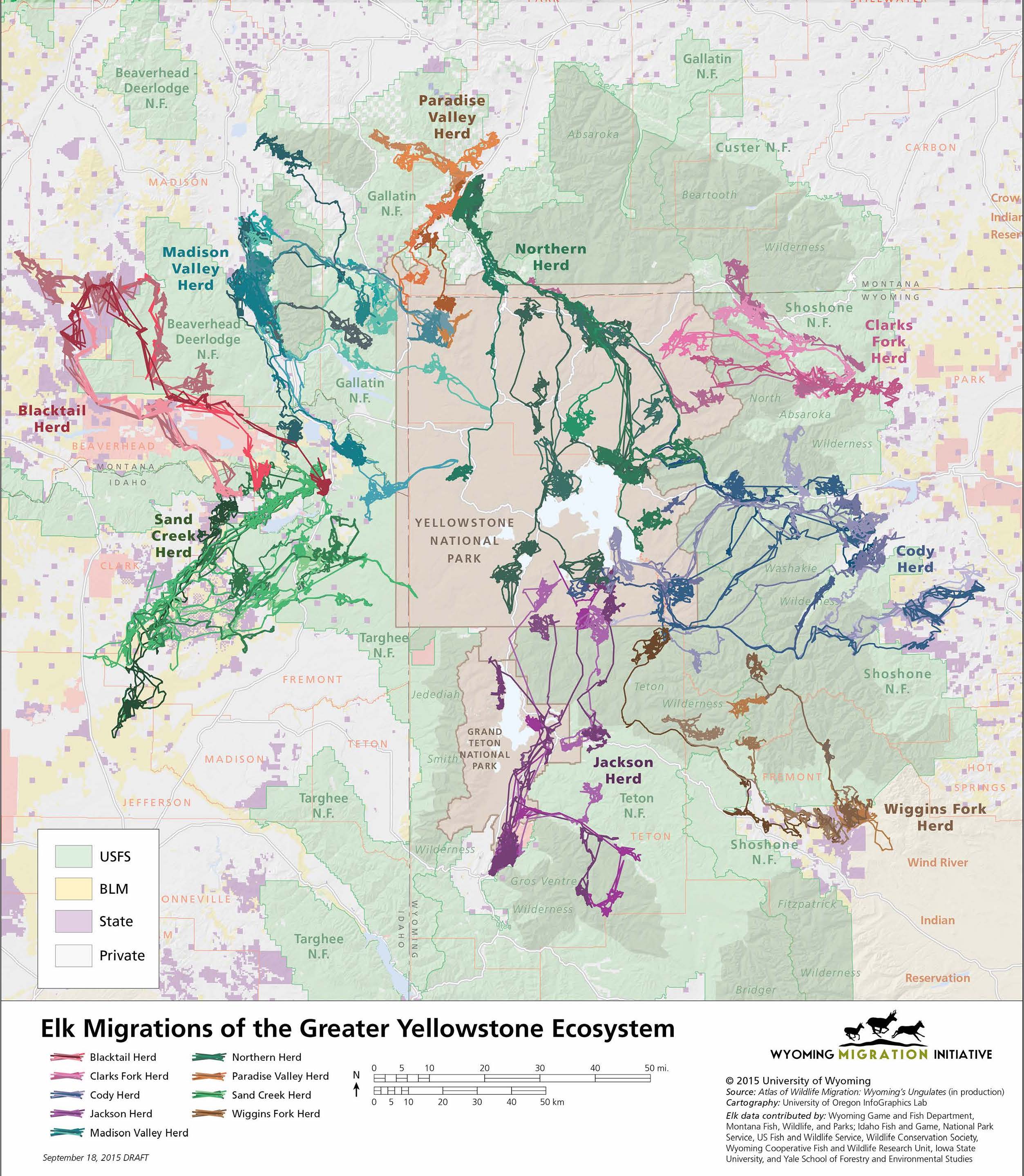 Protecting Elk Migration in the Greater Yellowstone Ecosystem